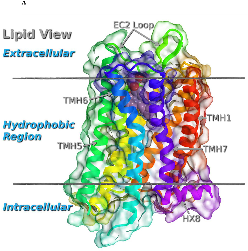 Coauthored Publications | Medicinal Chemistry Collaborative